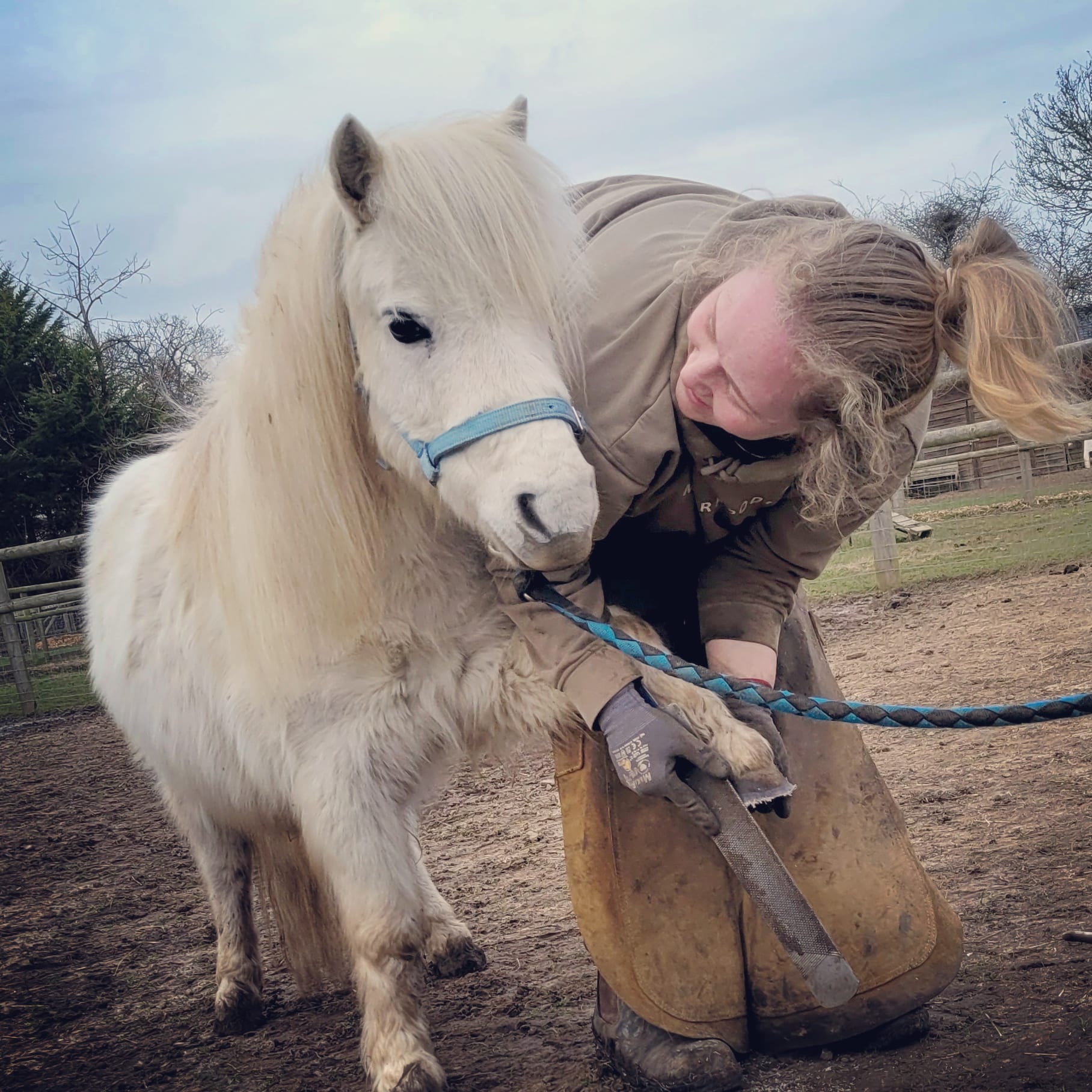 Camilla trimming a white pony